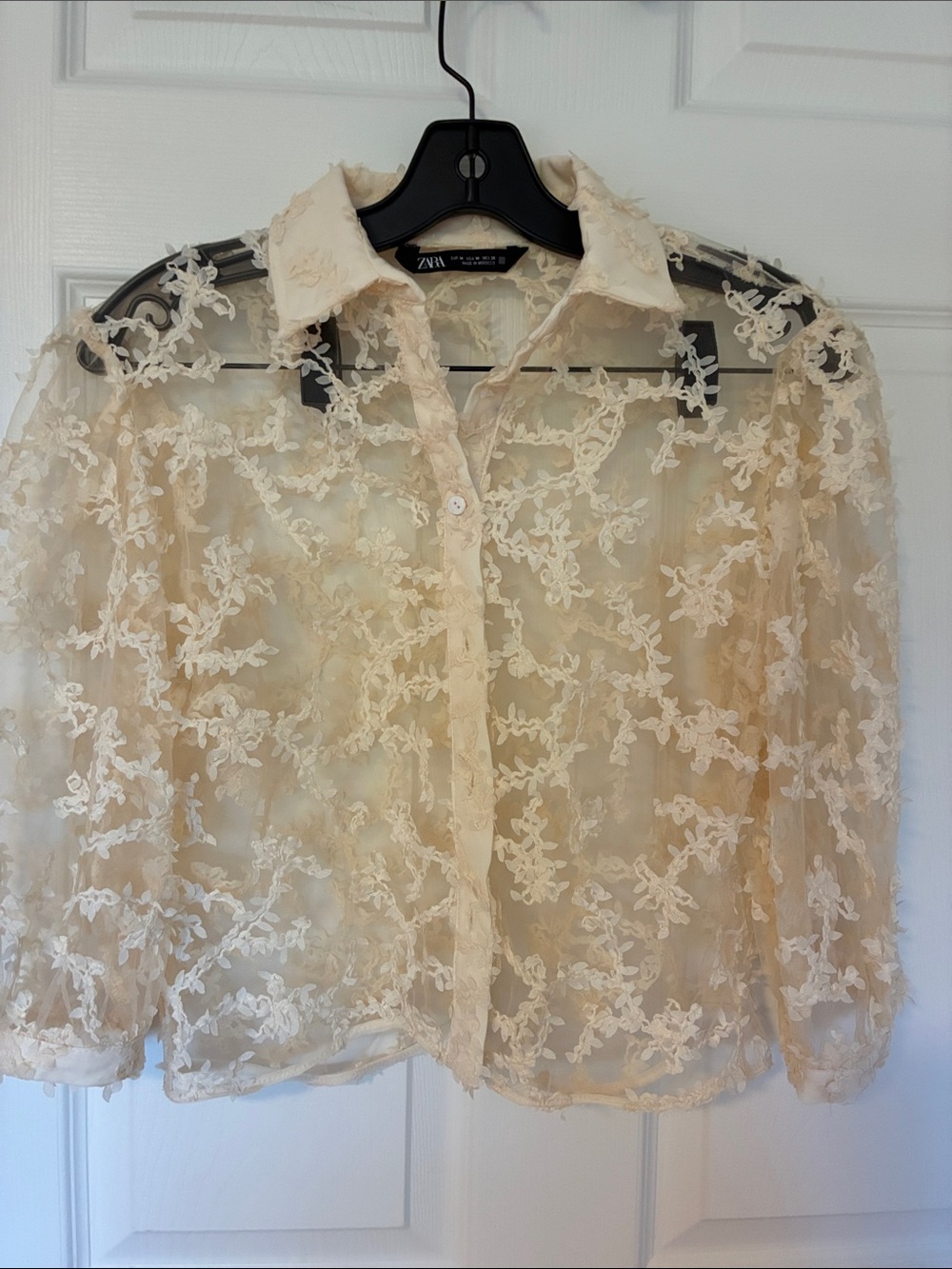 Zara Cream Sheer Floral Appliqué  Button-Down Blouse